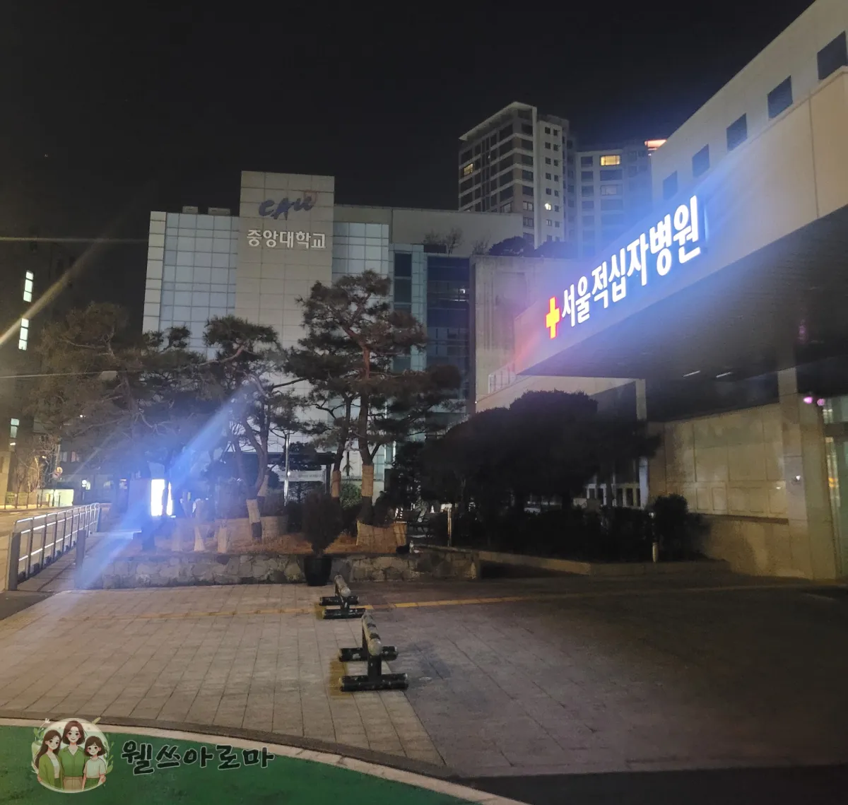 새벽-서울적십자병원-병원입구