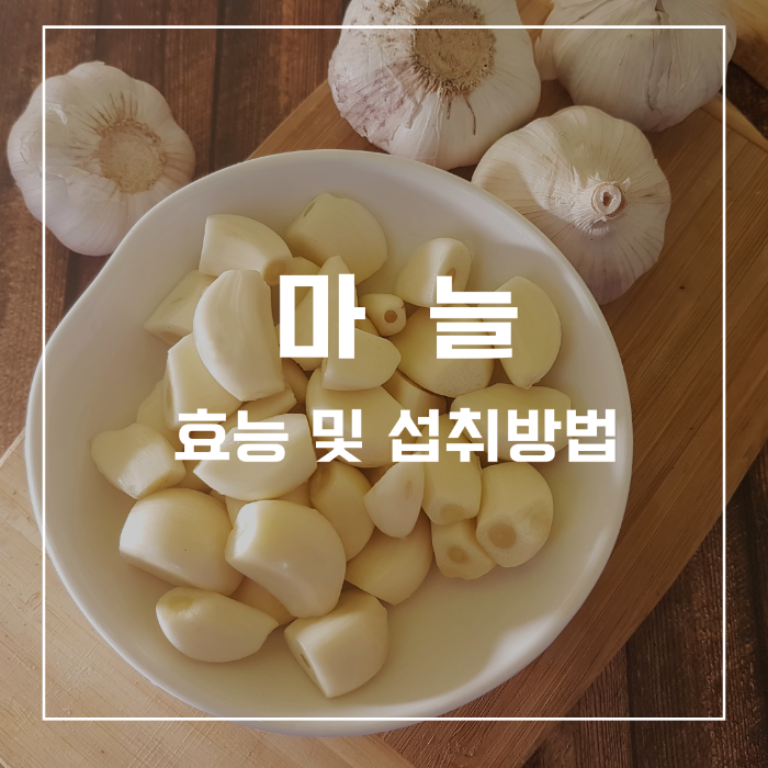 마늘 효능 및 섭취방법