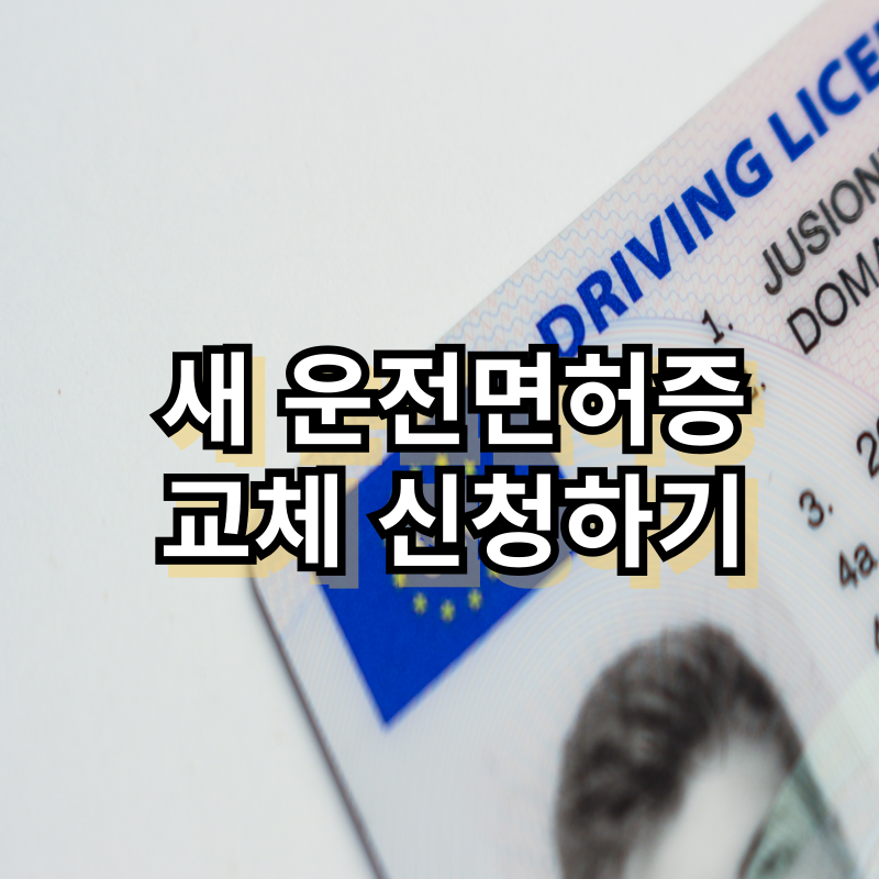 새 운전면허증 교체 신청하기