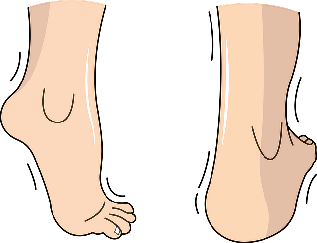 관절염 초기 증상