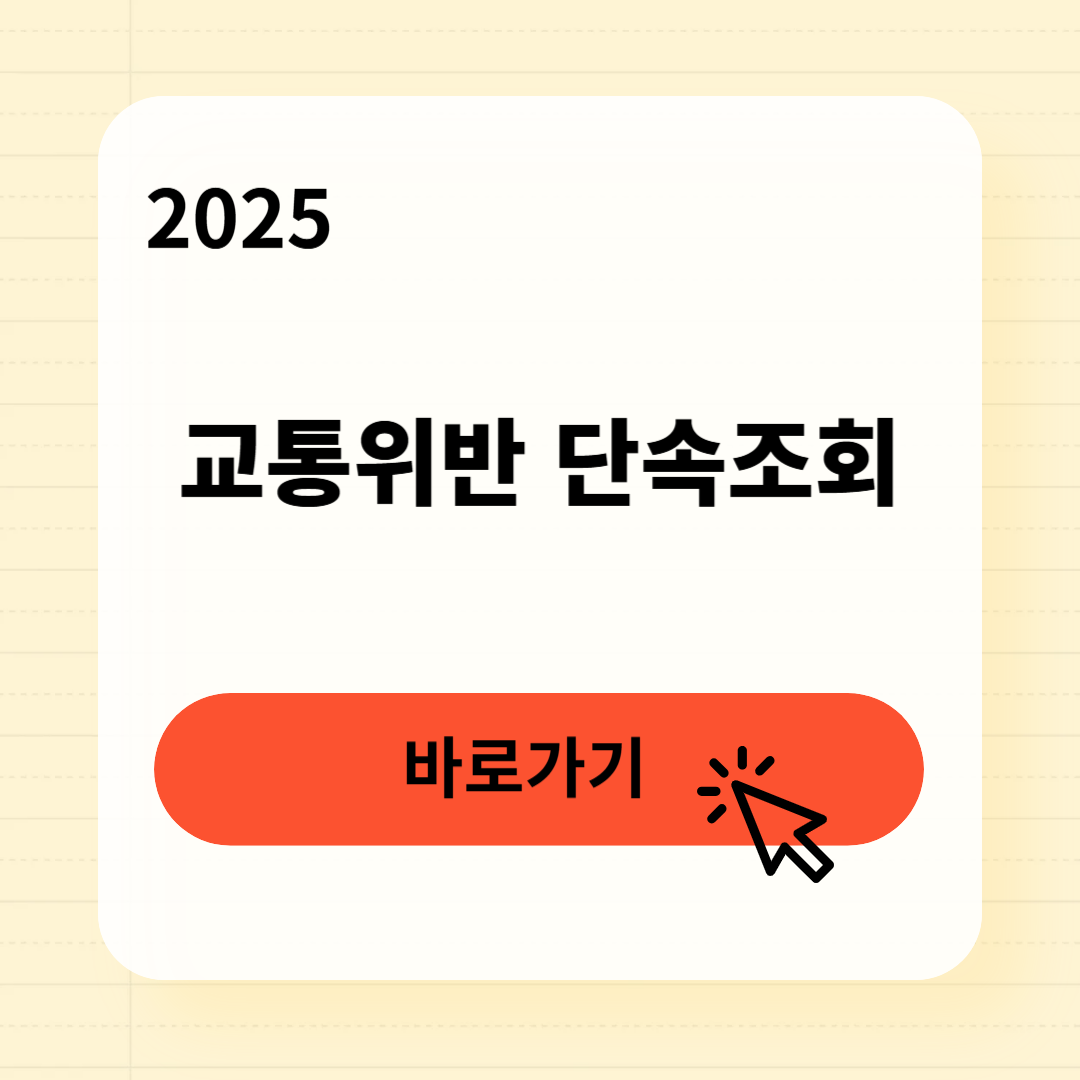 교통위반 단속 조회 3분 완벽 정리