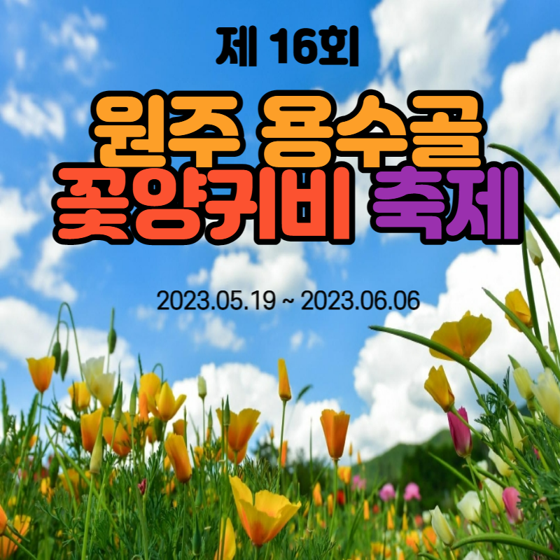 원주 용수골 꽃양귀비 축제