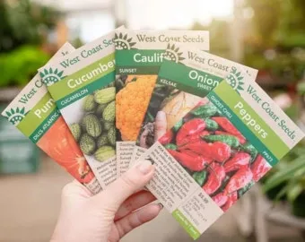 씨앗 저장법 건조 저온 밀봉 발아율 유지 교체 주기_12