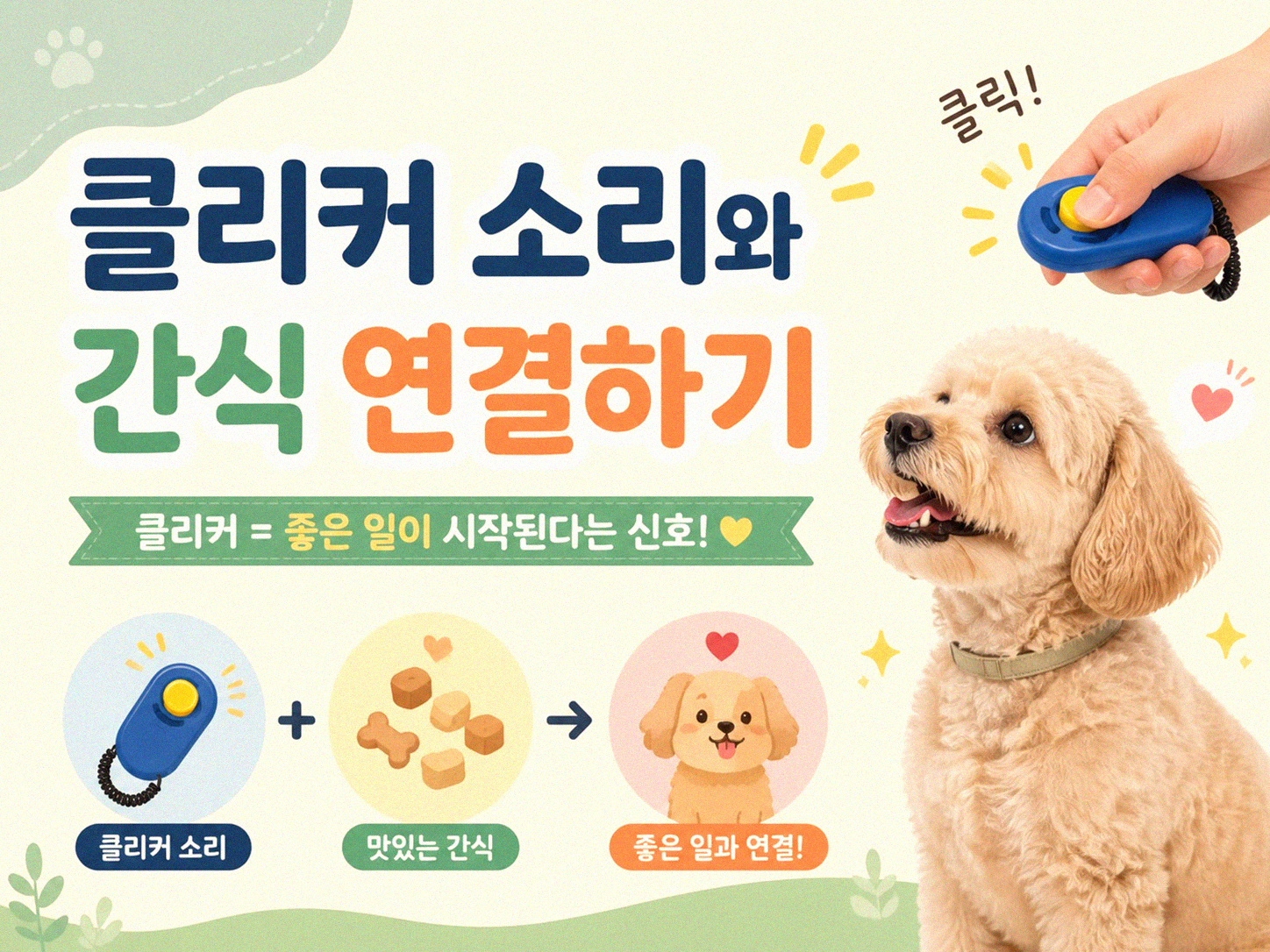 고양이 클리커 훈련 어떻게 시작할까