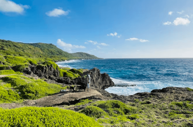 괌 vs 사이판&#44; 당신의 여행 스타일에 맞는 곳은?