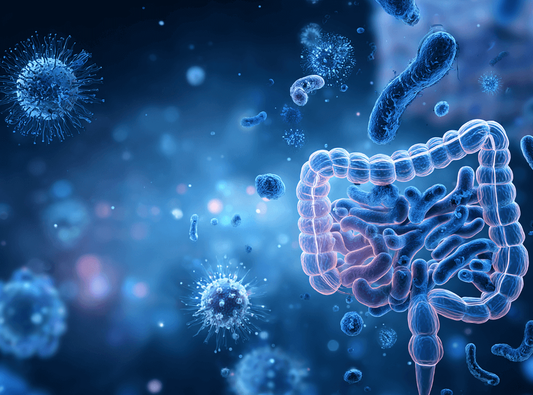 유산균&amp;#44; 제7의 필수 영양소 &mdash; 장이 건강해야 몸이 산다 (유산균 부족시 나타나는 증상)