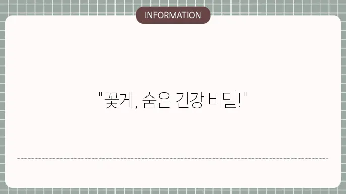 꽃게효능, 바다에서 온 건강 선물!