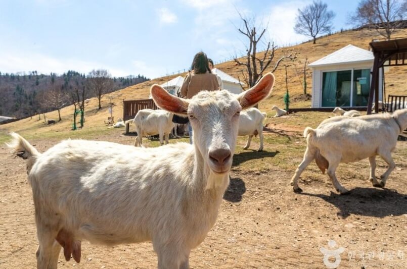 태백 가볼만한곳 베스트 10