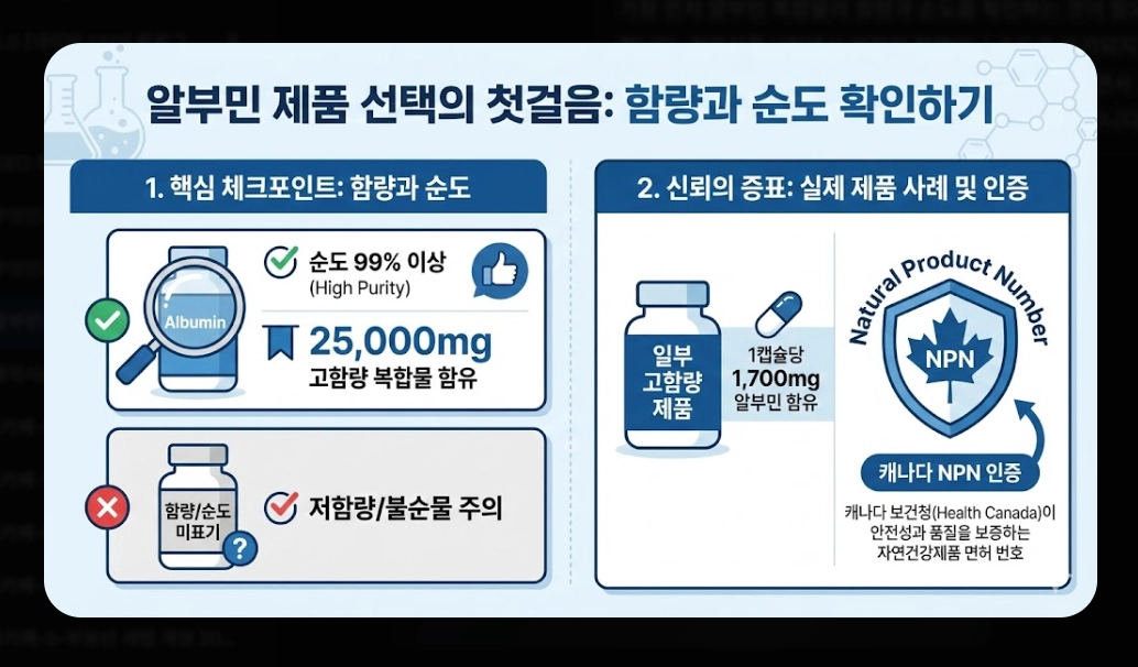 알부민 효능 완벽 분석 [2026 최신] 부족 증상 수치 및 올바른 제품 선택 가이드