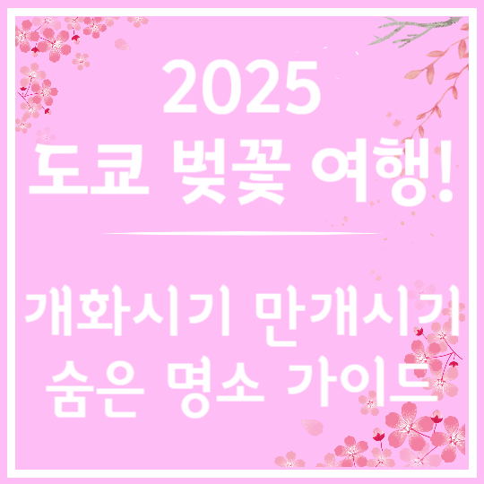 2025 도쿄 벚꽃 여행! 개화시기와 만개시기 &amp; 숨은명소 가이드