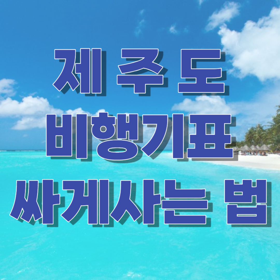 제주도 비행기표 싸게 사는법