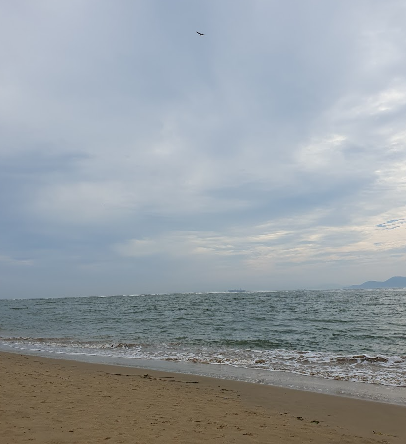 해변가에서 맨발 걷기 할 때 꿀팁, 주의할 점