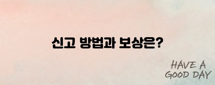 불법유턴 차량 신고 어디로? 보상금과 유의점까지 알려드립니다