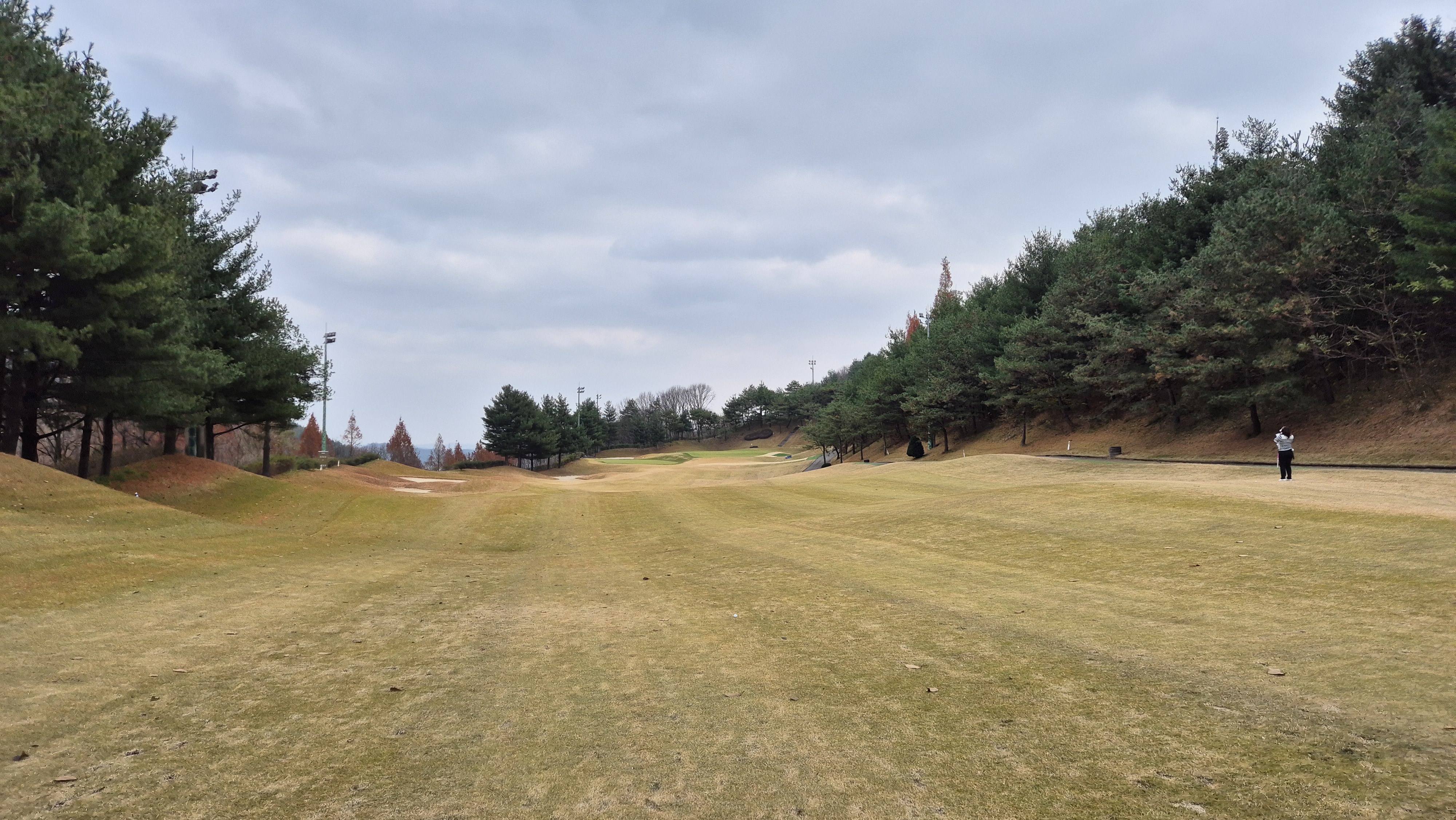 올데이 떼제베cc 누리코스 사진 및 공략 정보