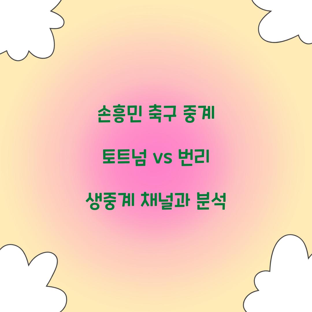 손흥민 축구 중계