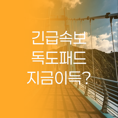 긴급 속보! 쟁여템 라운드랩 독도 패