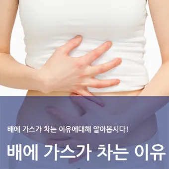 배에 가스가 차고 방귀를 자주 뀜 원인부터 해결책까지 한번에 알아보기_11