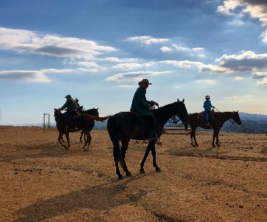 미국 로스앤젤레스(LA) 여행 추천 멀홀랜드 트레일 승마투어 Sunset Ranch Hollywood