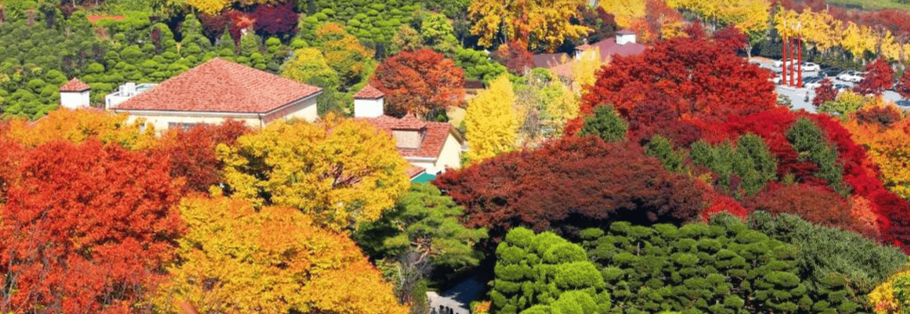 베어트리파크 단풍축제 할인, 맛집, 주차장