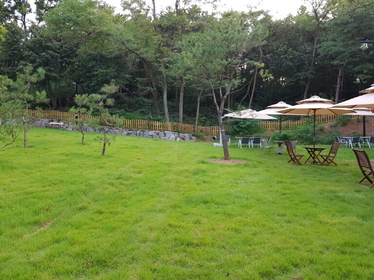 고양시 애견카페 추천 BEST 5 : 강아지와 함께 가기 좋은 실제 운영 카페 총정리