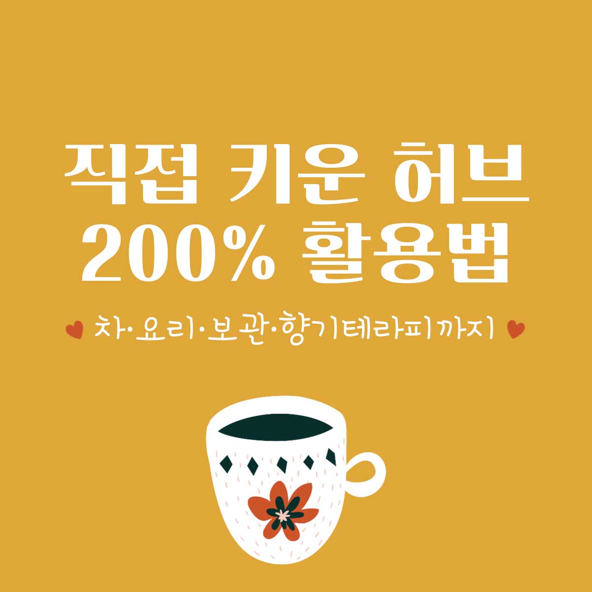 썸네일_허브활용법