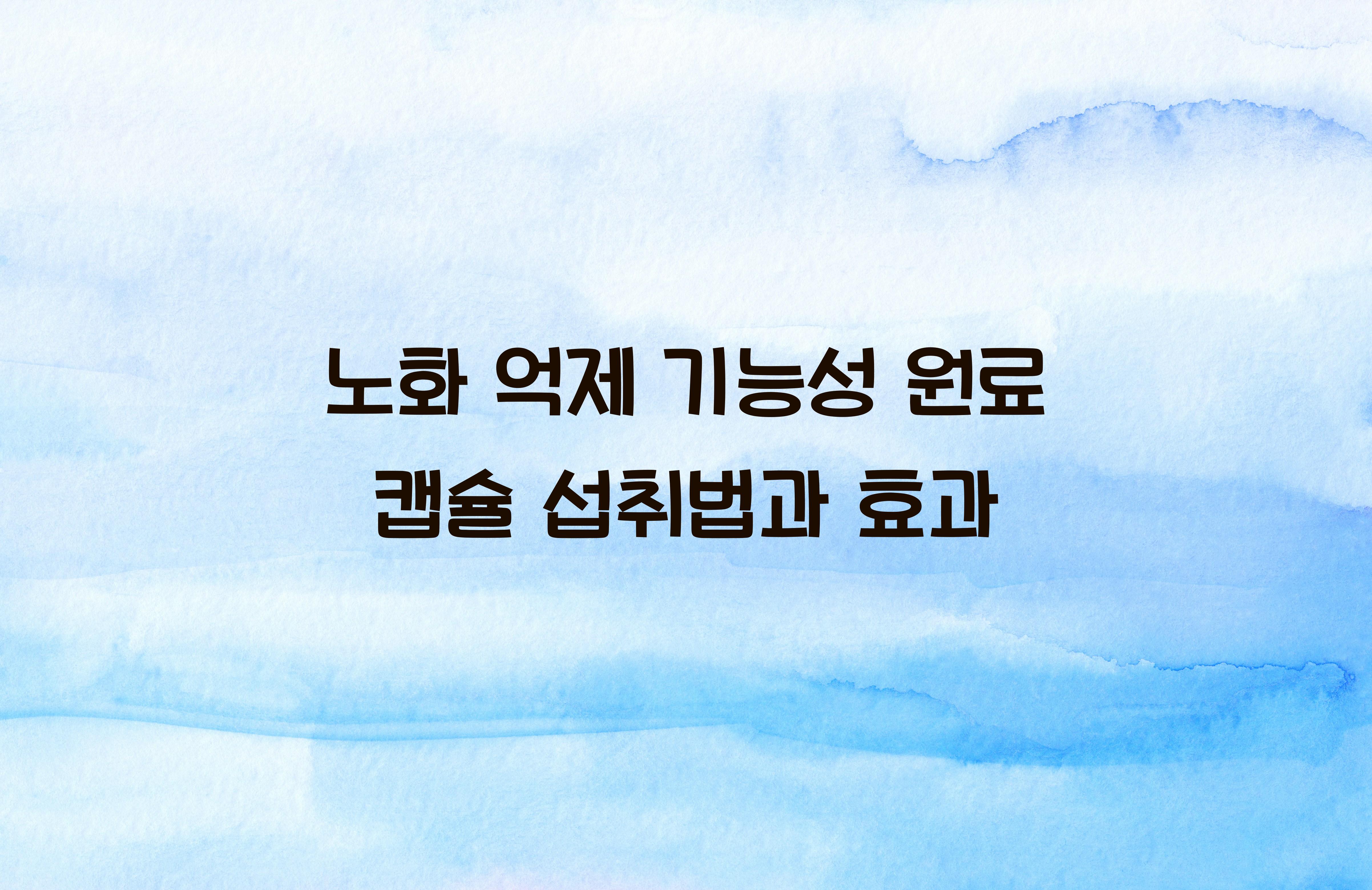 노화 억제 기능성 원료 캡슐