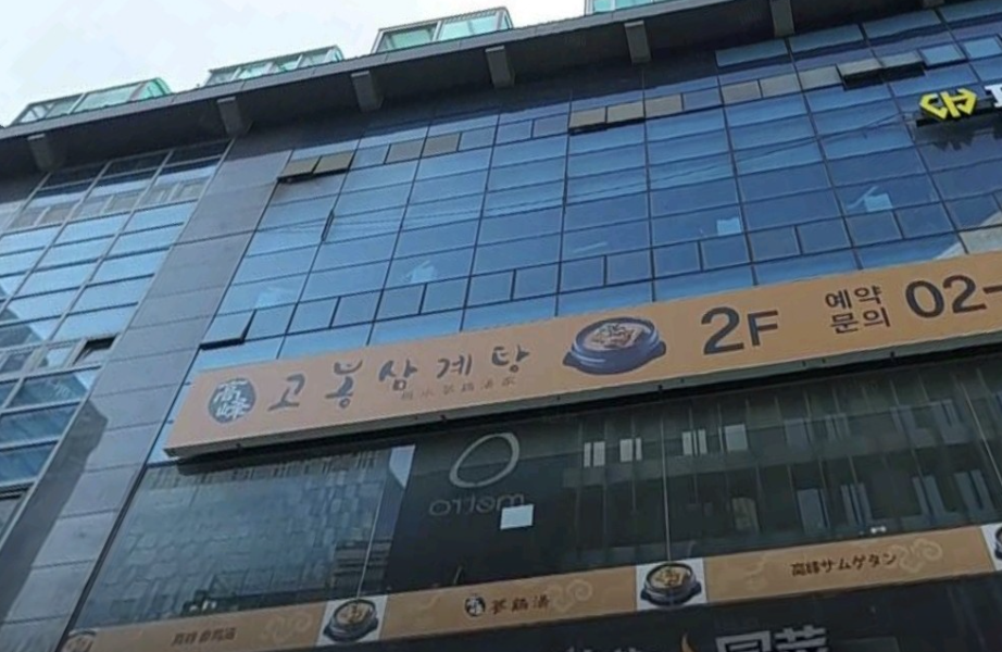 고봉삼계탕|상황버섯 진국 육수의 명동 맛집