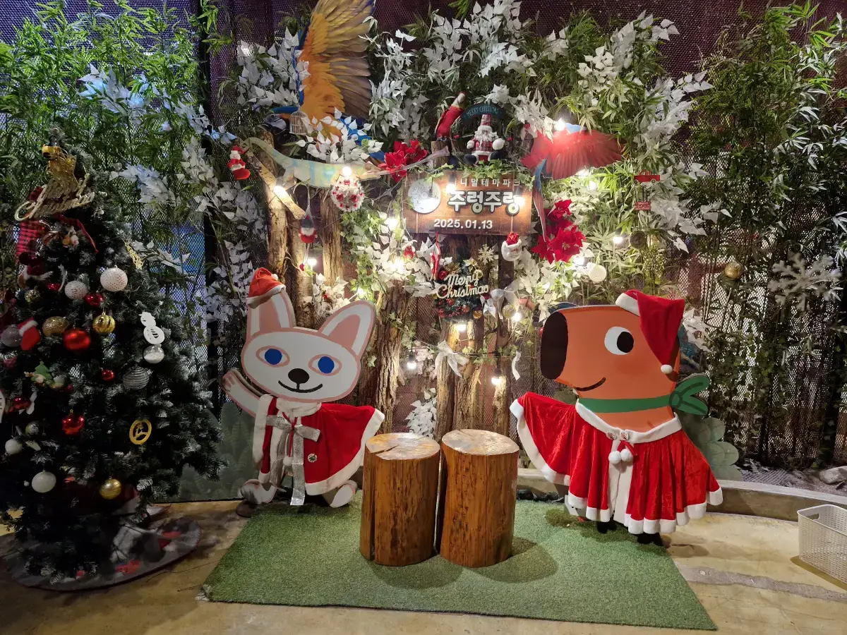 주렁주렁 사진1