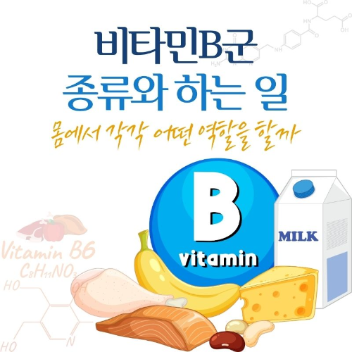 비타민B군_종류와_하는일