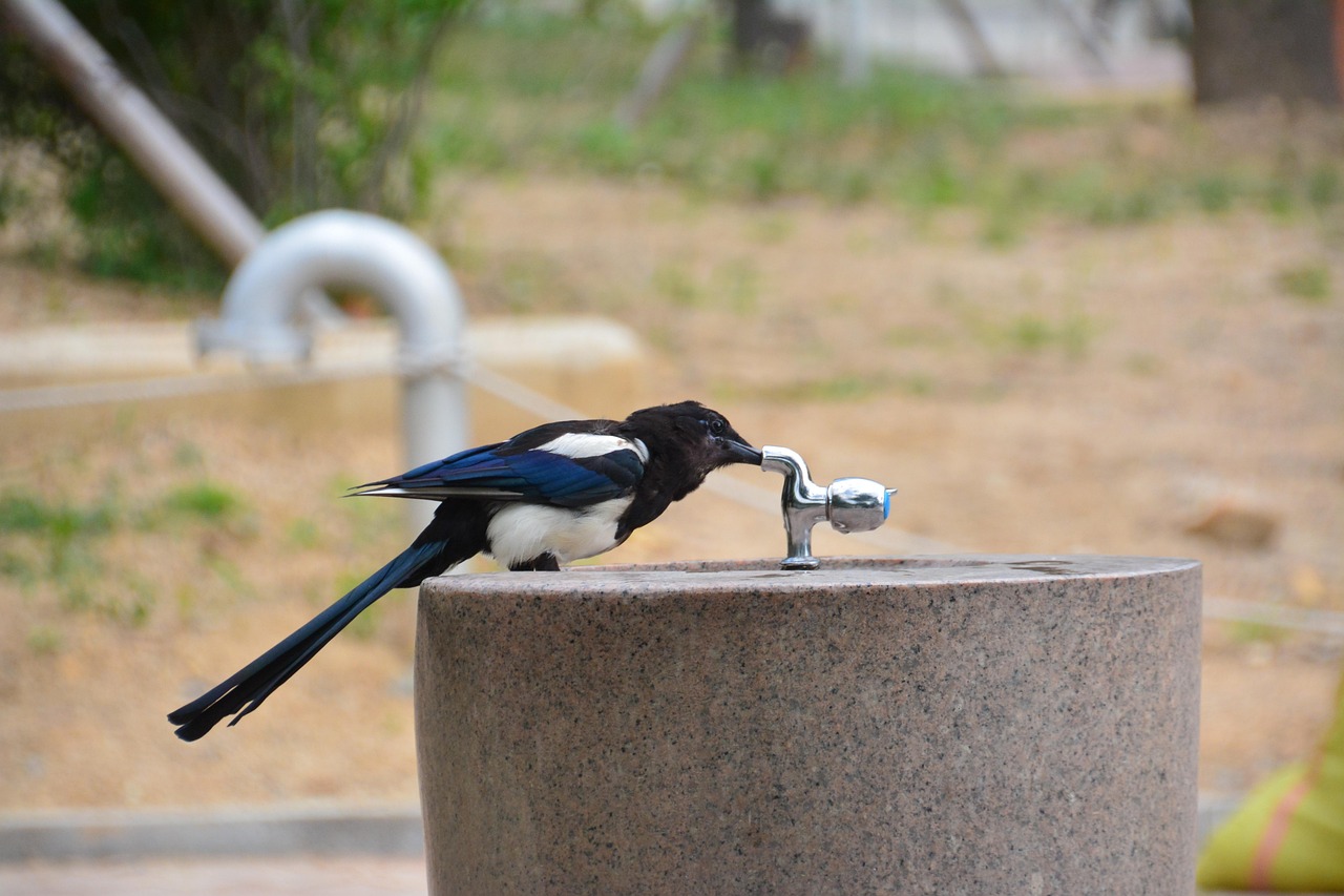 정수기꿈수돗물꿈