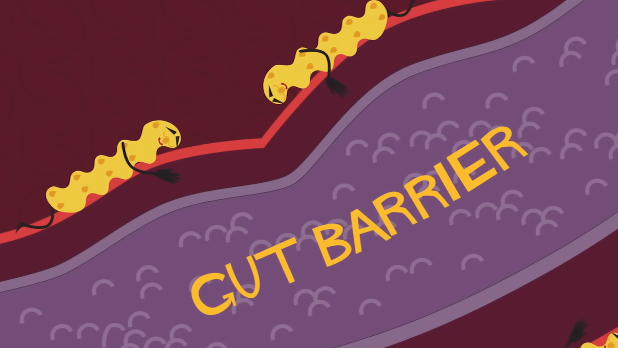 마이크로 바이옴이란