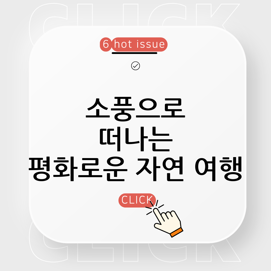 소풍