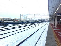 광주 청년 전세보증금반환보증 보증료 지원사업 신청대상과 지원혜택