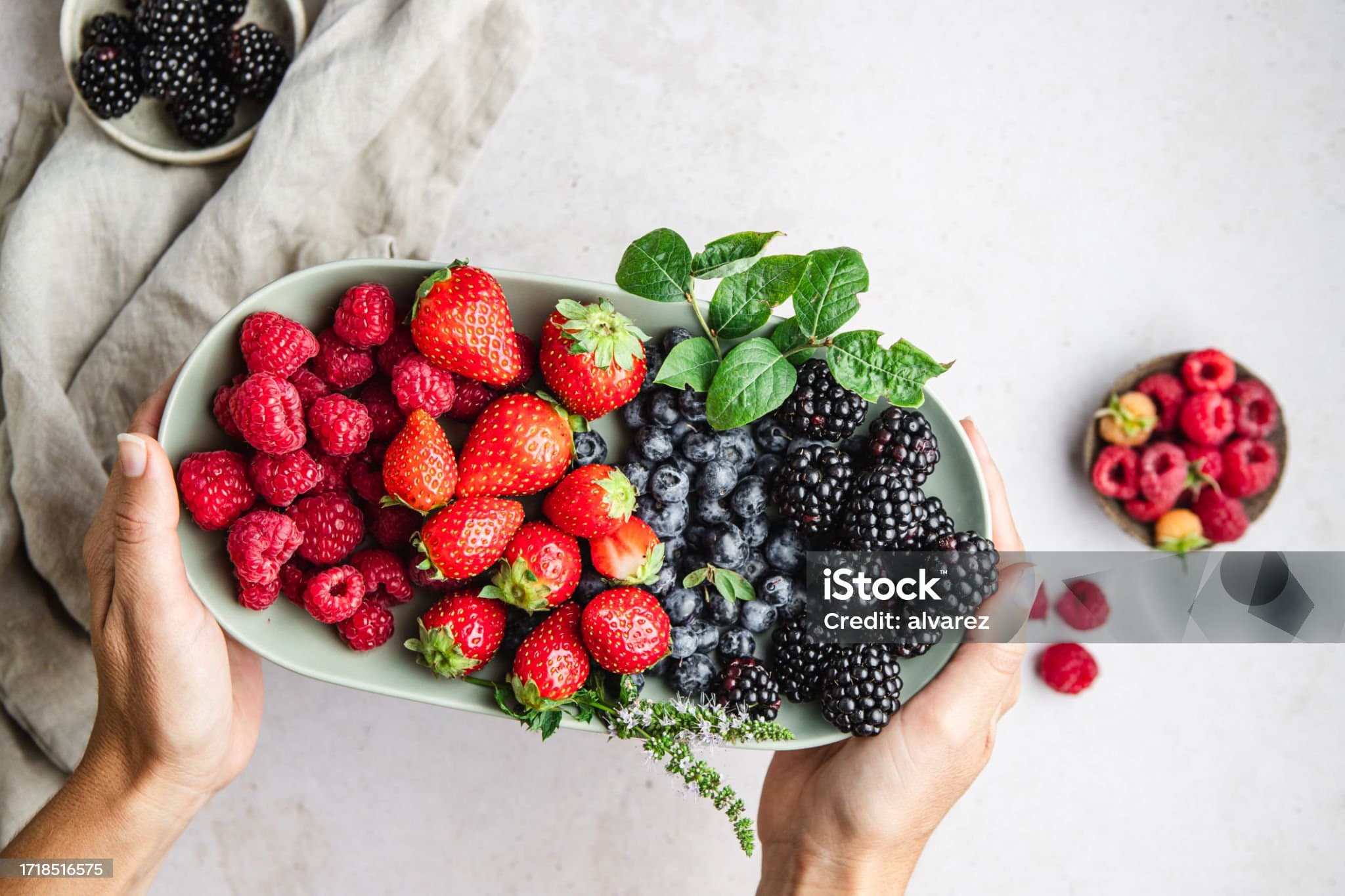 베리류(블루베리·딸기·라즈베리): 안토시아닌과 브레인 푸드