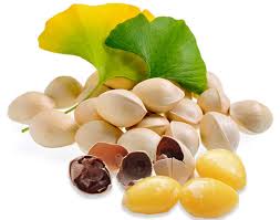 은행알 효능 및 하루 섭취량