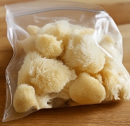 노루궁뎅이버섯 효능