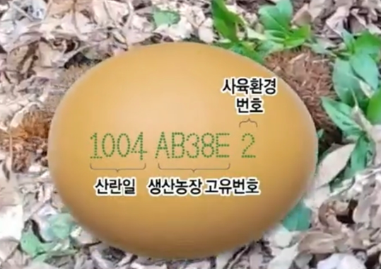 달걀에 적힌 숫자의 의미