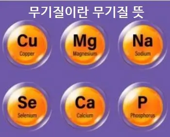 무기질이란 무기질 뜻
