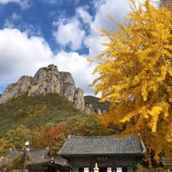 청송 주왕산 여행 코스 폭포 산책 주차 가을 단풍 포인트_13