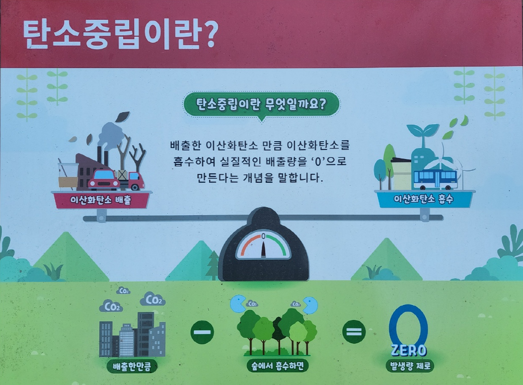 탄소중립, 이산화탄소 배출, 나무,제로