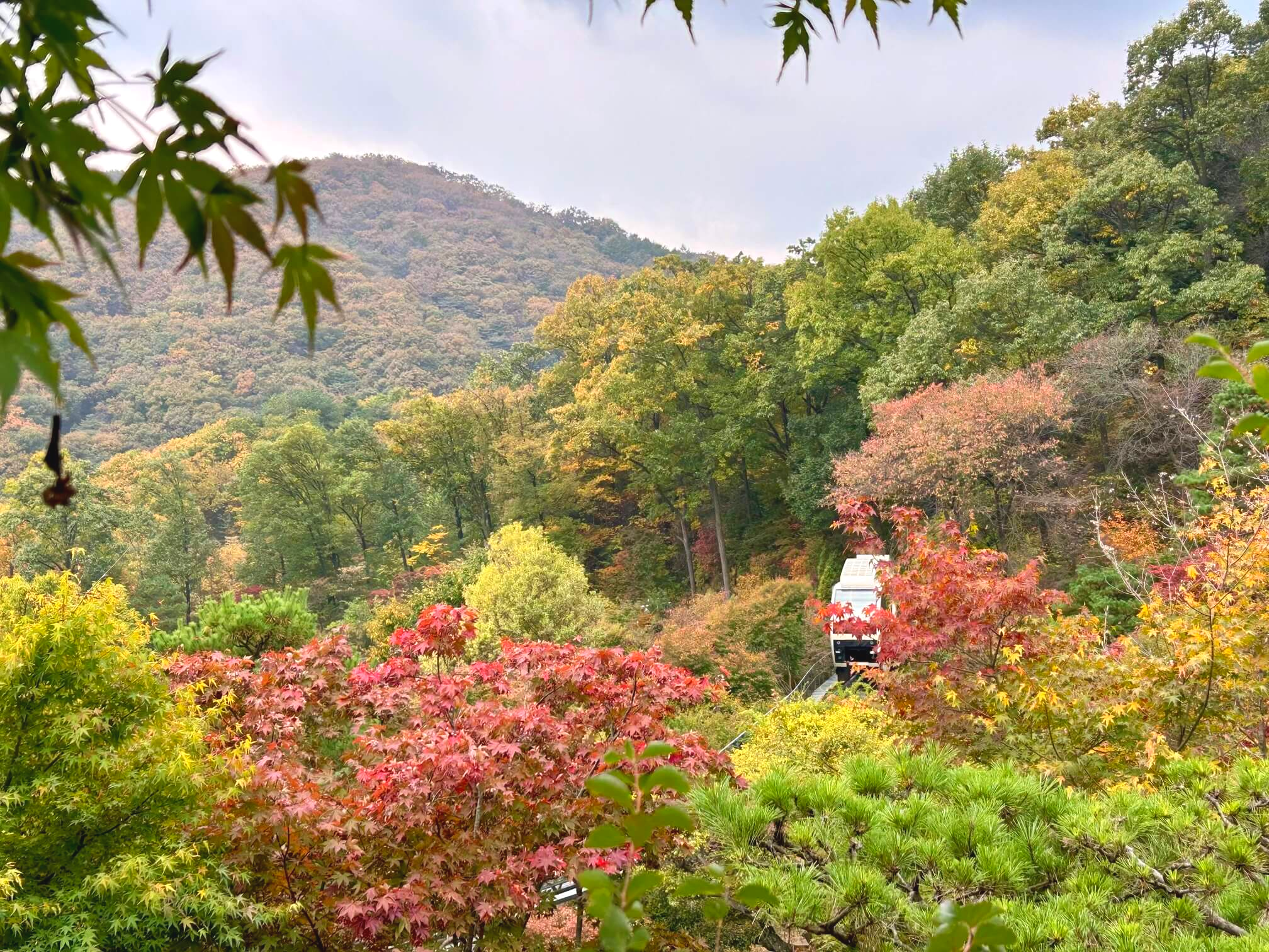 2024년 화담숲 10월 말 가을 단풍 암석·하경정원1