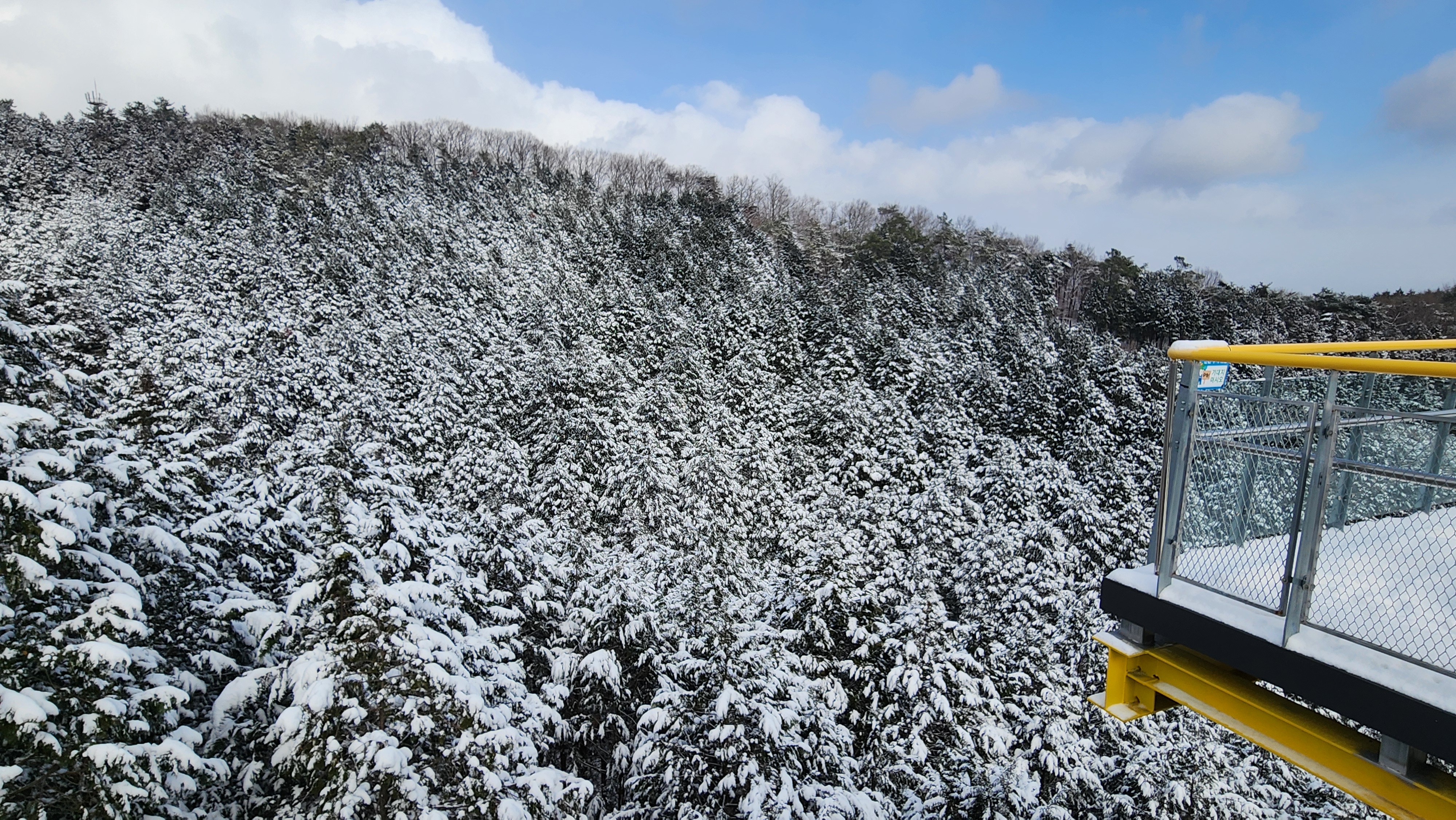축령산 전망대에서 내려다본 장성 치유의숲 설경
