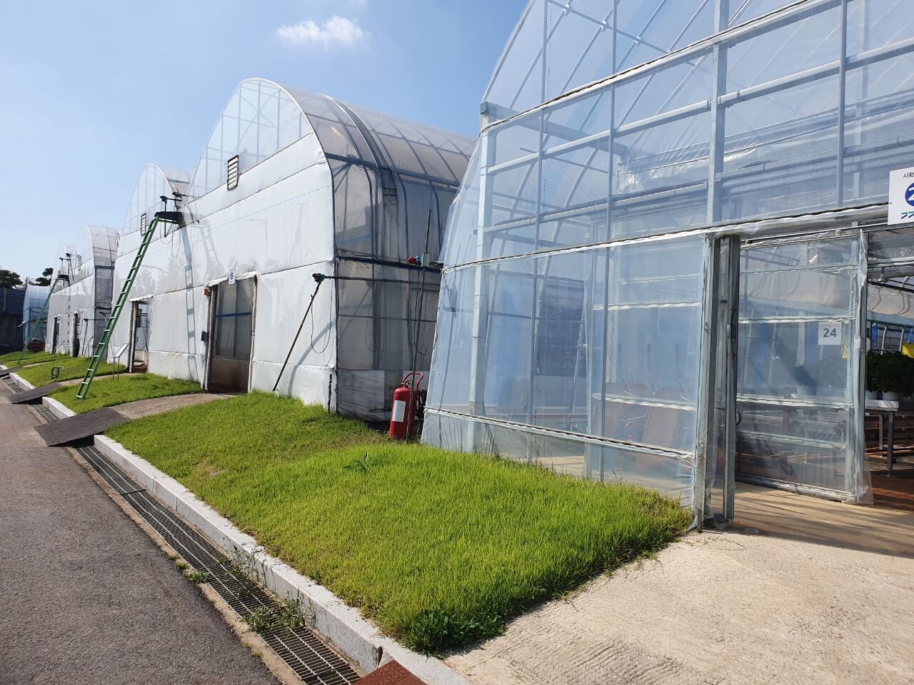 선인장-다육식물-연구소-내부-하우스