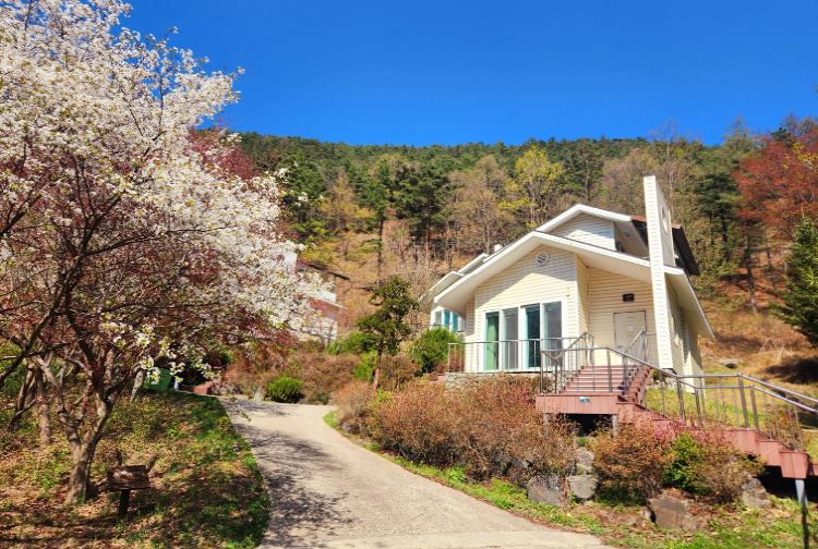 속리산 말티재 자연휴양림