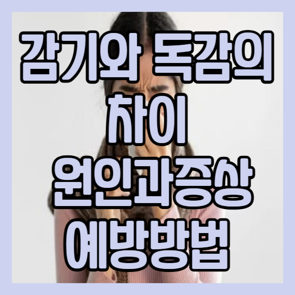 감기와 독감의차이 원인과 증상/ 예방방법