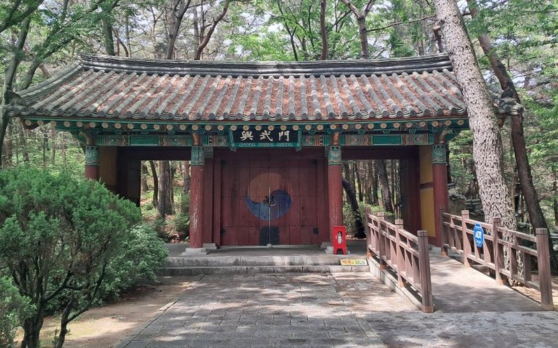 지금 출발 용문사 포토스팟&middot;당일치기&middot;1박2일 코스와 주차&middot;입장료 총정리