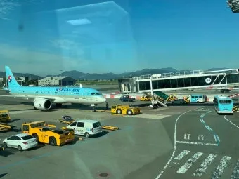 국내선 비행기 탈 때 생수 반입 가능한가요 알아보자 완벽 항공 규정_8