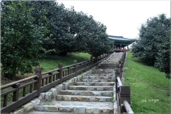 서천 마량리 동백나무 숲 개화 코스_15