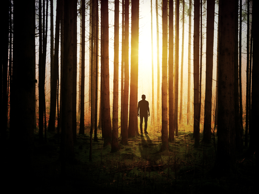 빛과 나무 그림자 토빗기 성경 말씀 카드 무료 이미지