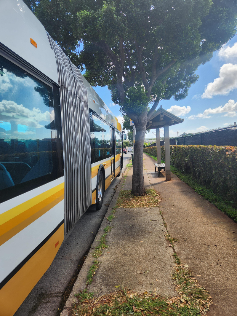 하와이 와이켈레 프리미엄 아울렛 E버스